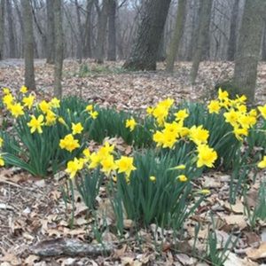 Meet your Posher, Leela